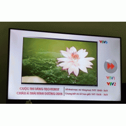 VTV6 bị ngắt sóng giữa trận đấu Việt Nam và Bahrain vì tiếp sóng sai nguồn