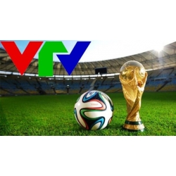 Bộ TT&TT đã hỗ trợ VTV xử lý vi phạm bản quyền World Cup 2018